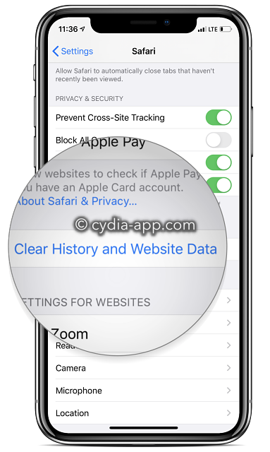 clear-history-and-website-data-iphone- 